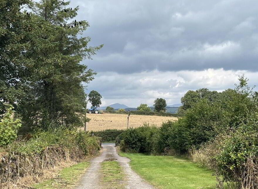 Shanakill, Aglish, Cappoquin, P51HP80