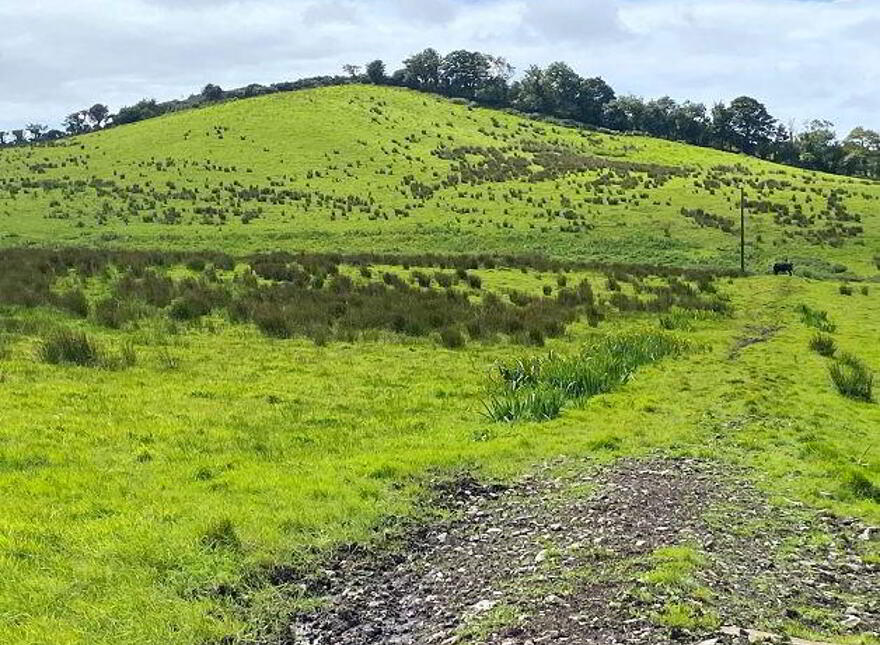 Summerhill, Donegal Town