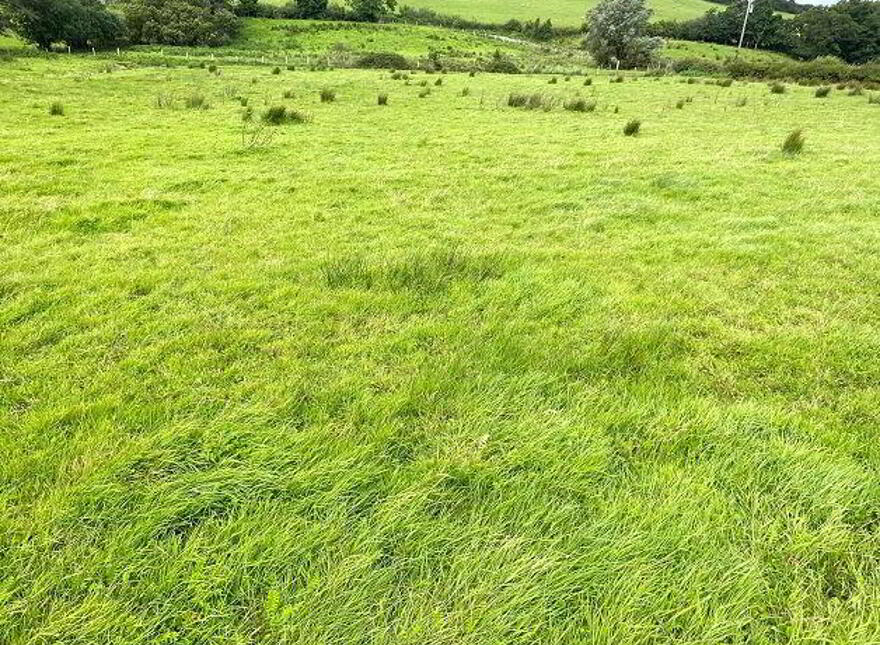 Summerhill, Donegal Town