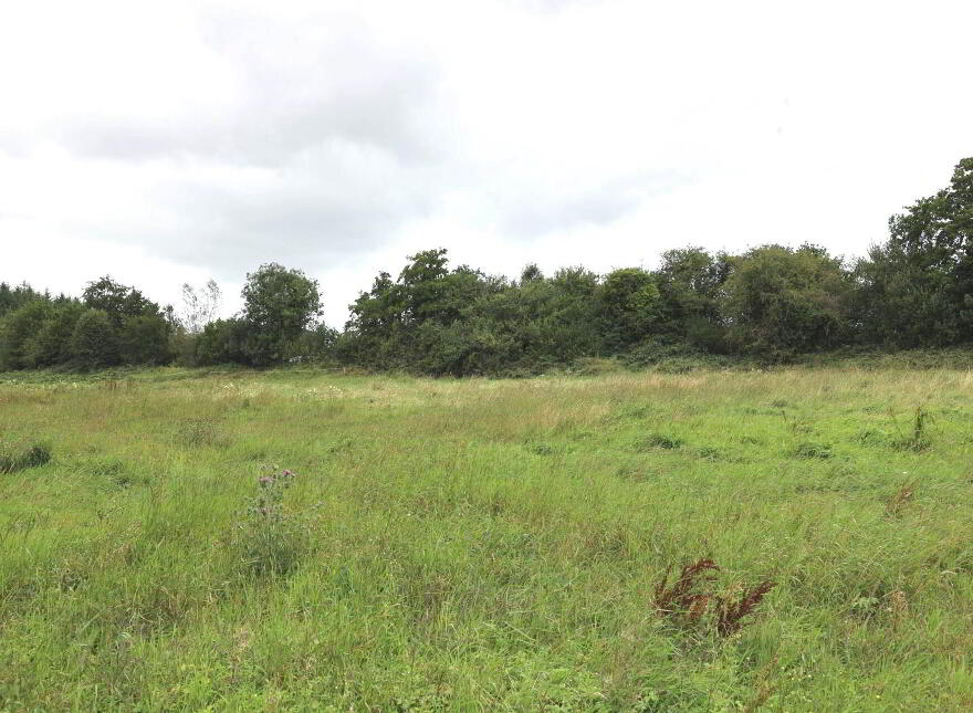 Hopesgate Cottage, Derryvale, Roscrea, E53HV58