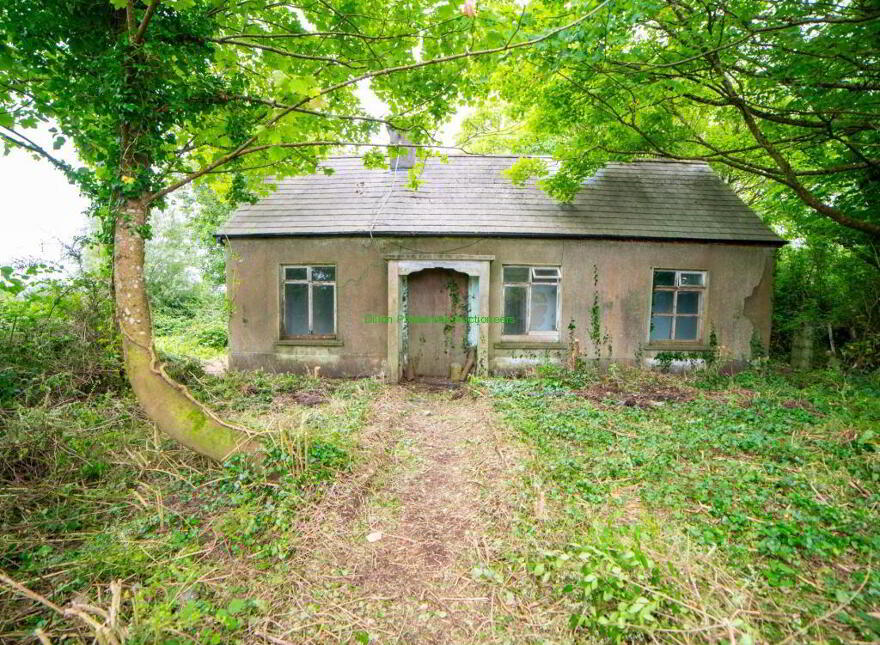 Tullahennel, Co. Kerry Just Added, Tullahennel, Ballylongford, Kerry photo