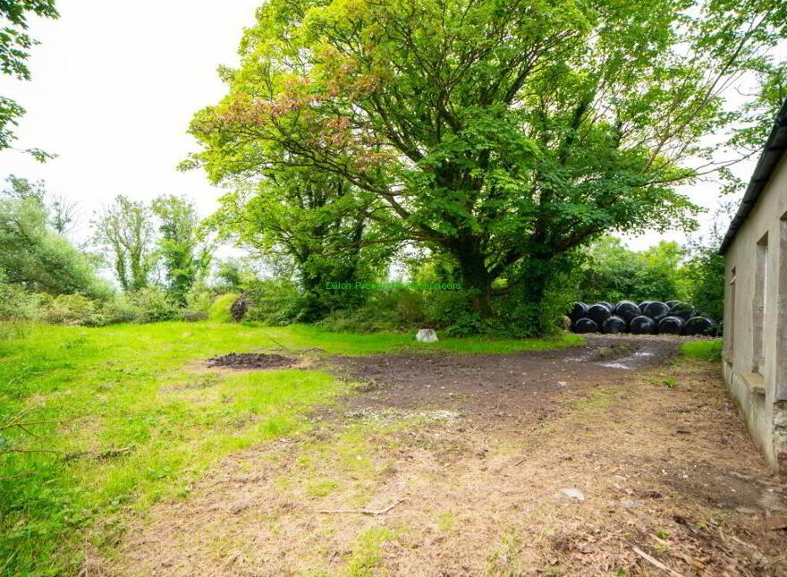 Tullahennel, Co. Kerry Just Added, Tullahennel, Ballylongford, Kerry
