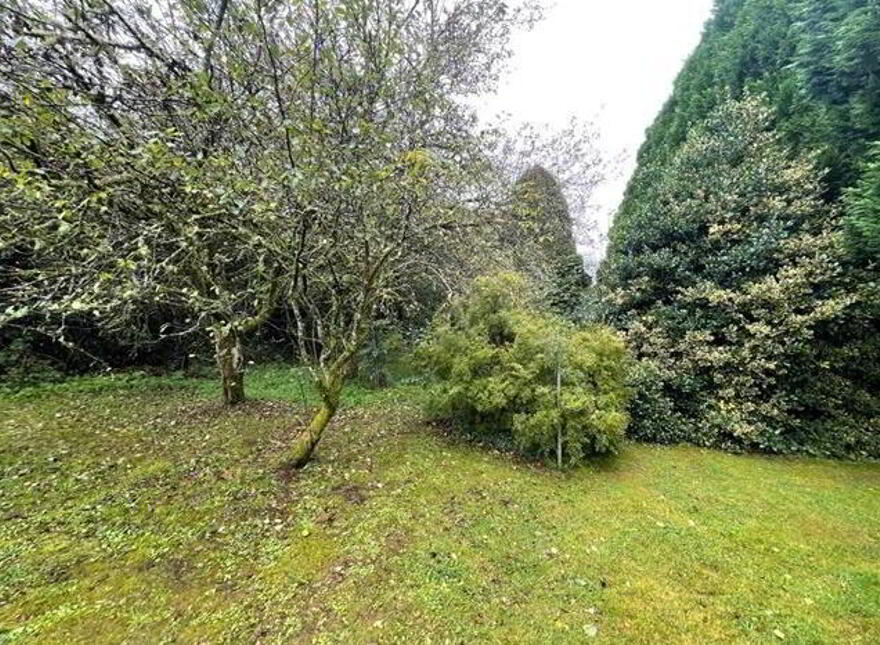 Convent Road, Ballaghaderreen, F45YK85