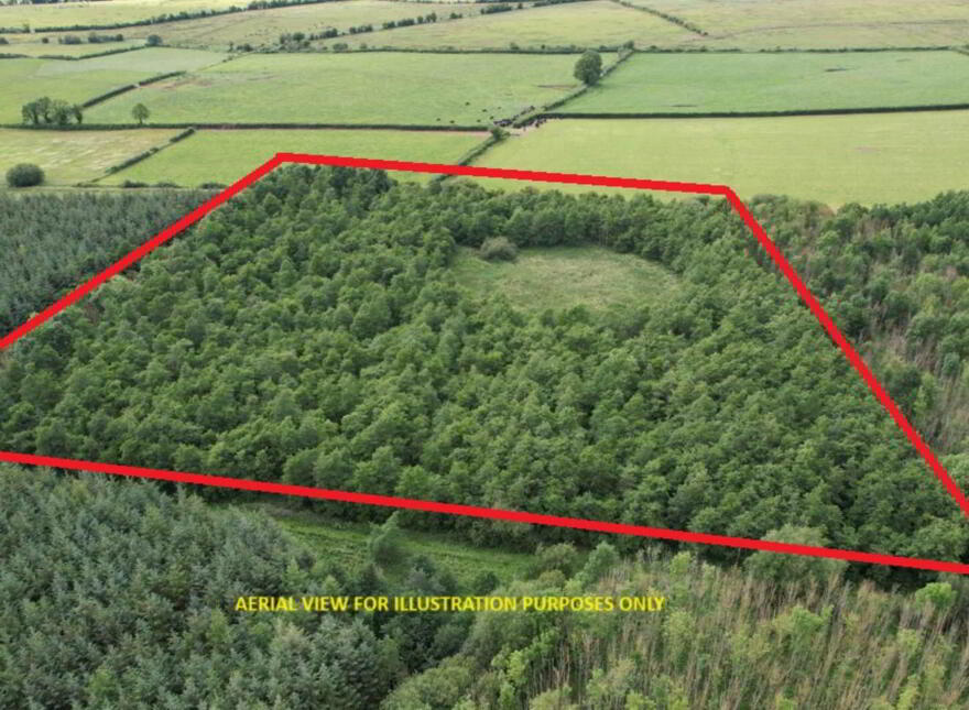 Rathmore South, Meanus, Kilmallock photo