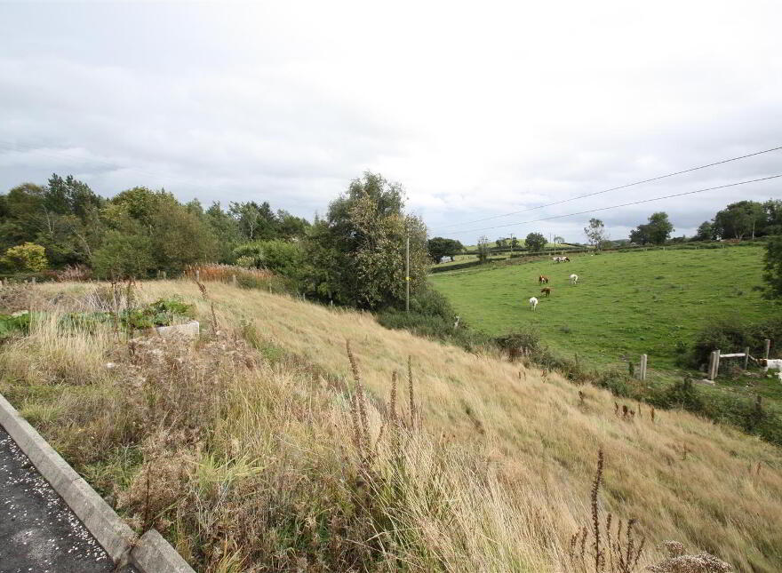 14 Martinpoole Road, Ballynahinch, BT24 8JY