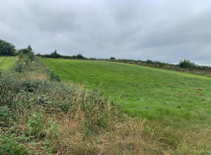 Approx 24.5 Acres Of Agricultural Land, Adjacent, To 229 Ba...Royal Hillsborough, BT26 6AR