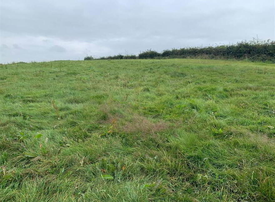 Approx 24.5 Acres Of Agricultural Land, Adjacent, To 229 Ba...Royal Hillsborough, BT26 6AR