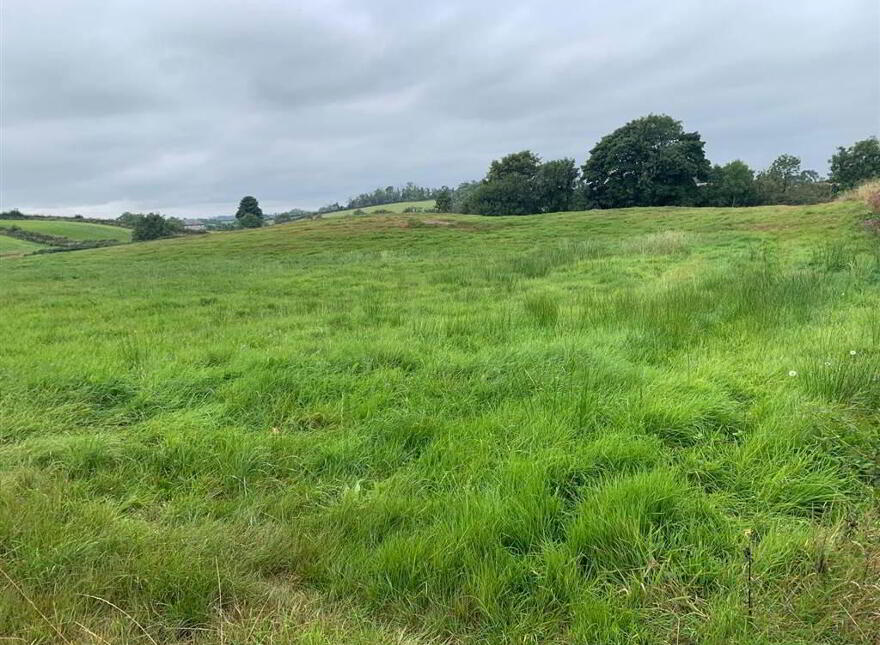 Approx 24.5 Acres Of Agricultural Land, Adjacent, To 229 Ba...Royal Hillsborough, BT26 6AR