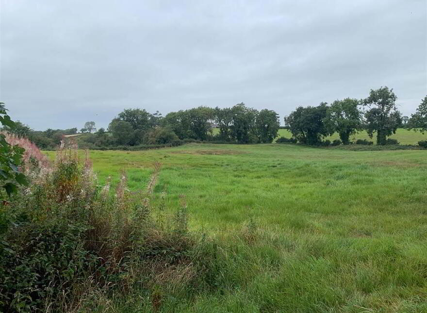 Approx 24.5 Acres Of Agricultural Land, Adjacent, To 229 Ba...Royal Hillsborough, BT26 6AR