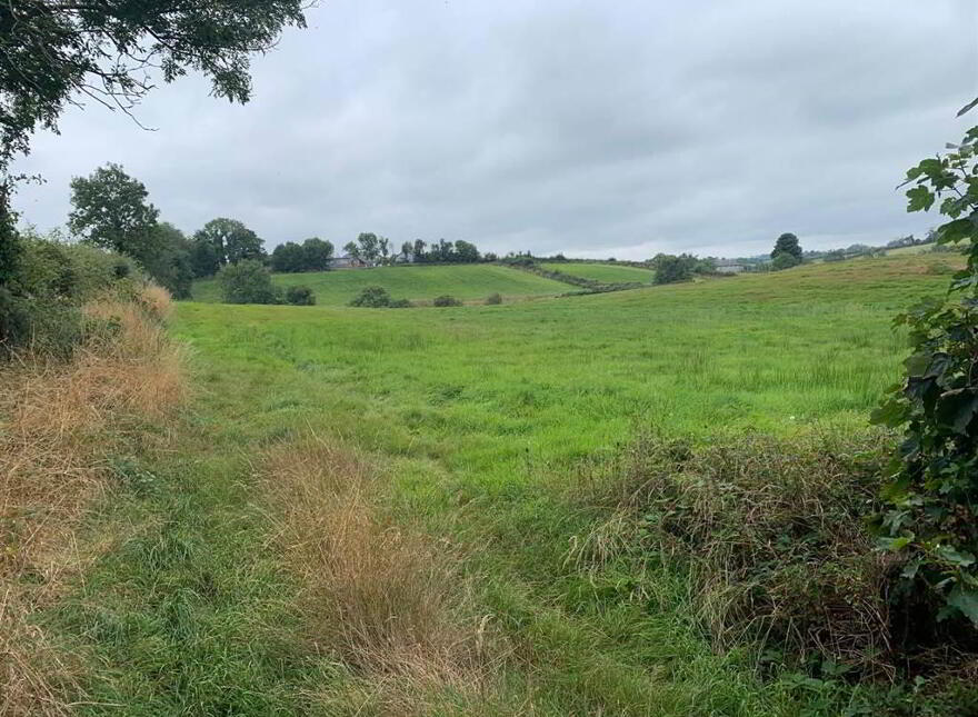 Approx 24.5 Acres Of Agricultural Land, Adjacent, To 229 Ba...Royal Hillsborough, BT26 6AR