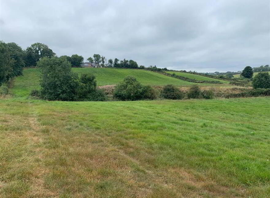 Approx 24.5 Acres Of Agricultural Land, Adjacent, To 229 Ba...Royal Hillsborough, BT26 6AR