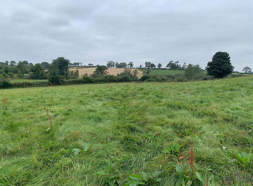 Approx 24.5 Acres Of Agricultural Land, Adjacent, To 229 Ba...Royal Hillsborough, BT26 6AR
