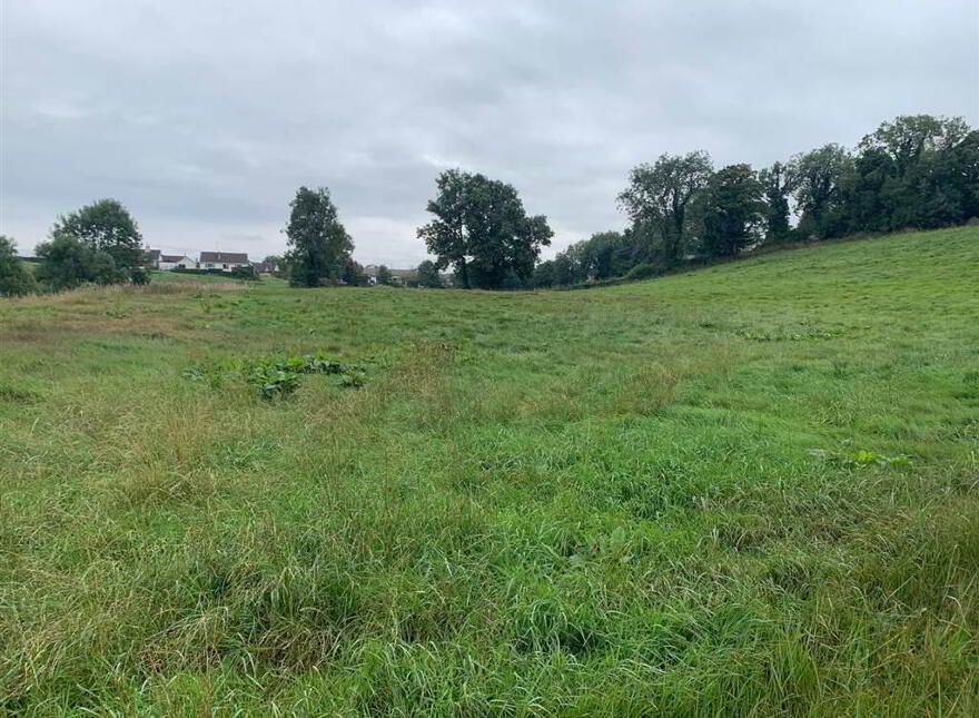 Approx 24.5 Acres Of Agricultural Land, Adjacent, To 229 Ba...Royal Hillsborough, BT26 6AR