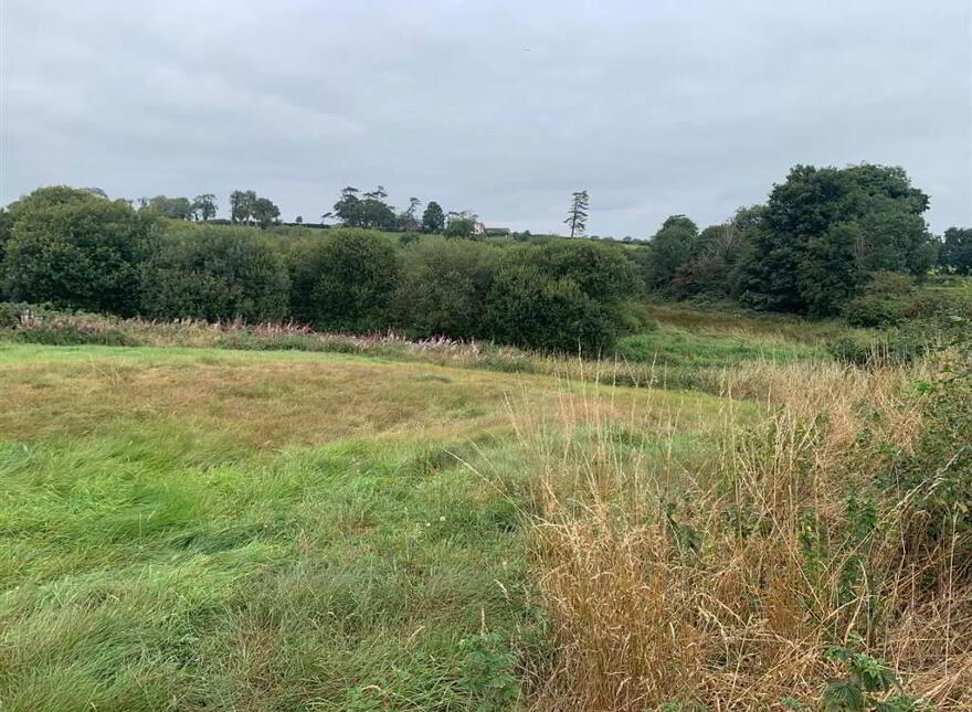 Approx 24.5 Acres Of Agricultural Land, Adjacent, To 229 Ba...Royal Hillsborough, BT26 6AR