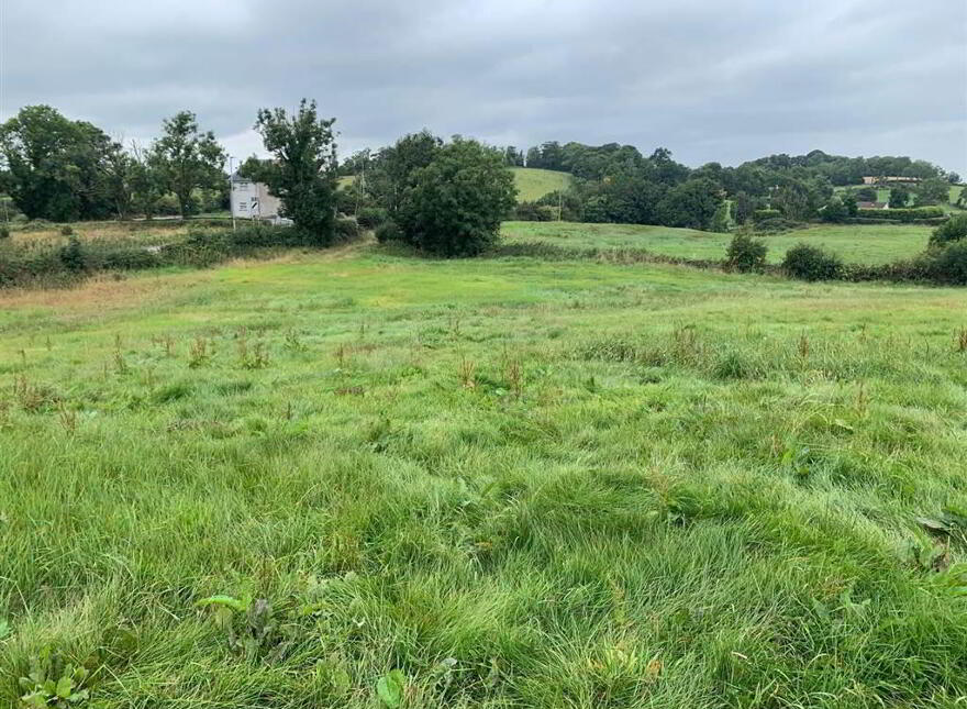 Approx 24.5 Acres Of Agricultural Land, Adjacent, To 229 Ba...Royal Hillsborough, BT26 6AR photo