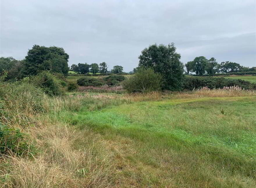 Approx 24.5 Acres Of Agricultural Land, Adjacent, To 229 Ba...Royal Hillsborough, BT26 6AR