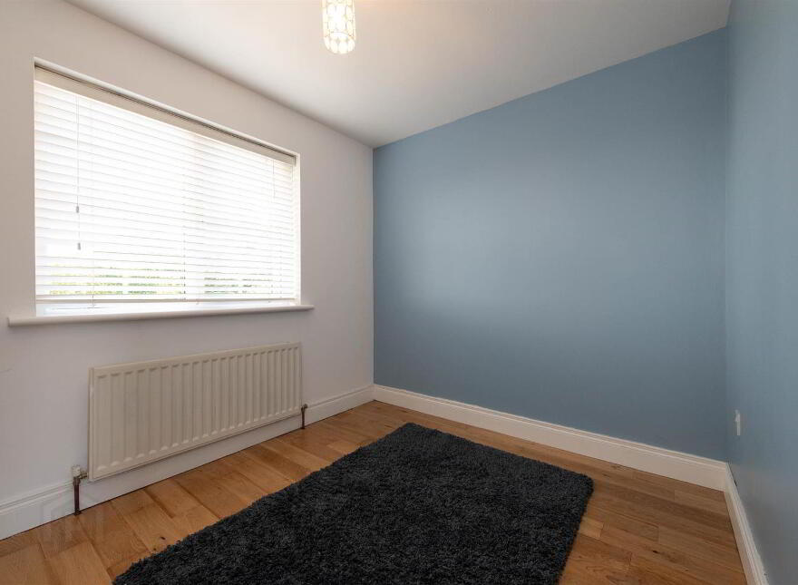 1 Demesne Avenue, Downpatrick, BT30 6UY
