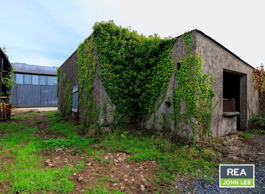 Ballykinalee, Newport, V94X3YW