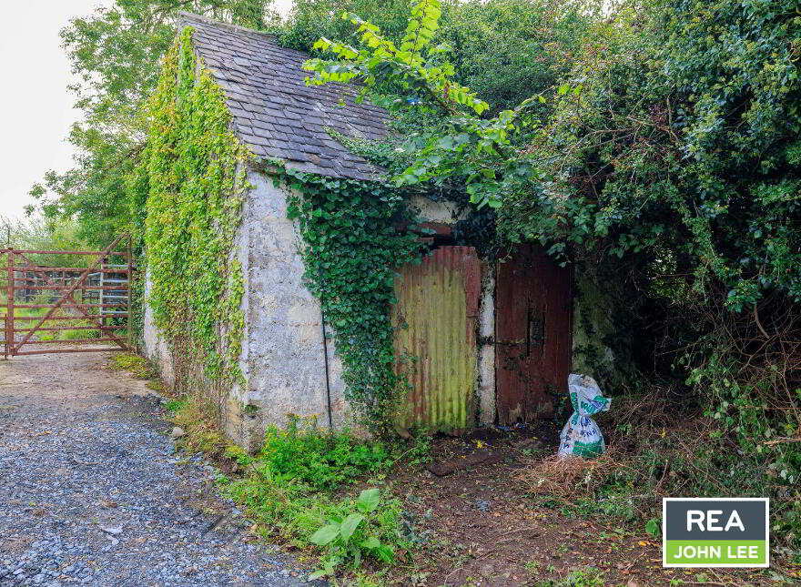 Ballykinalee, Newport, V94X3YW