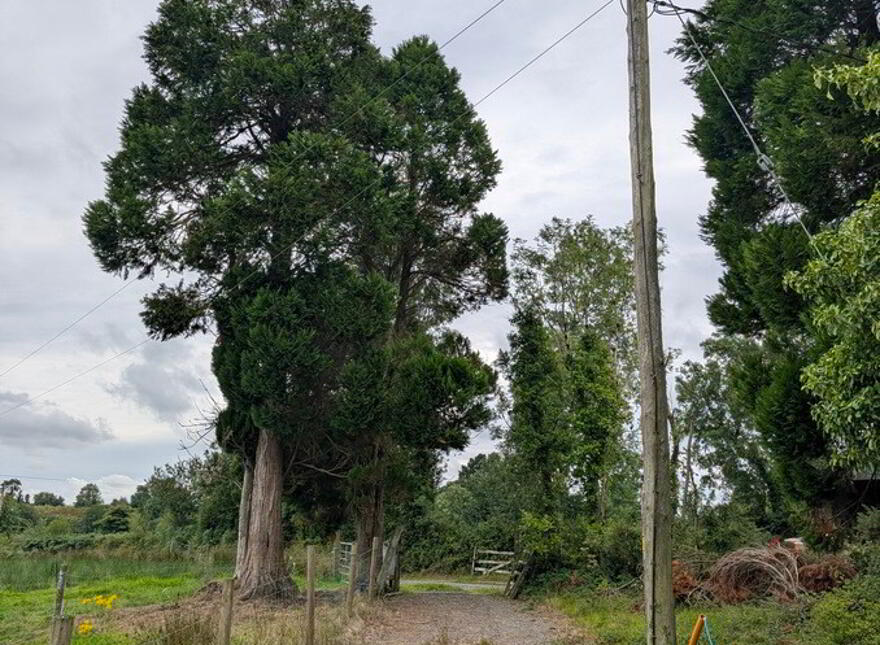 Cornaferst, Carrigallen, H12PN32
