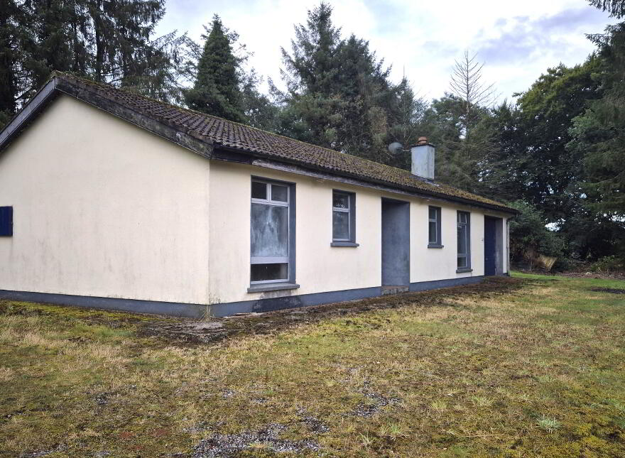 Ballyhook Hill, Grangecon, W91T0F1