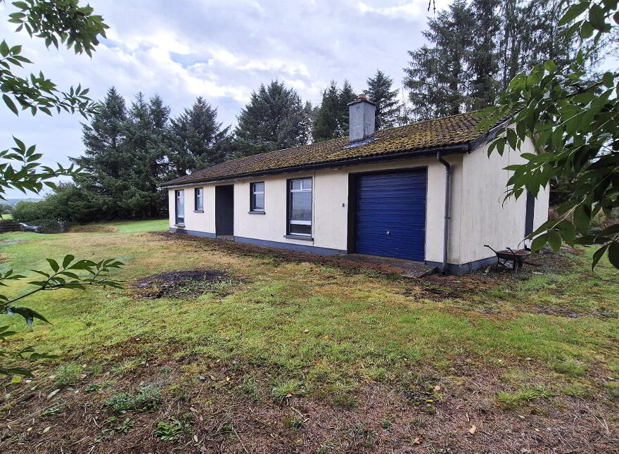 Ballyhook Hill, Grangecon, W91T0F1 photo