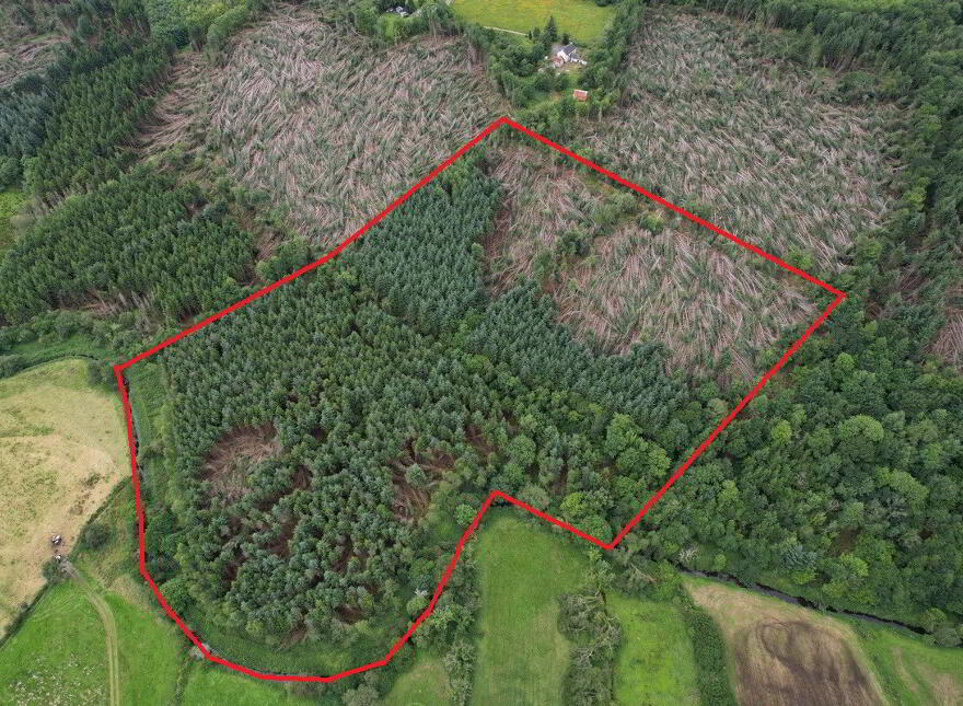 Aghavilla, Carrigallen