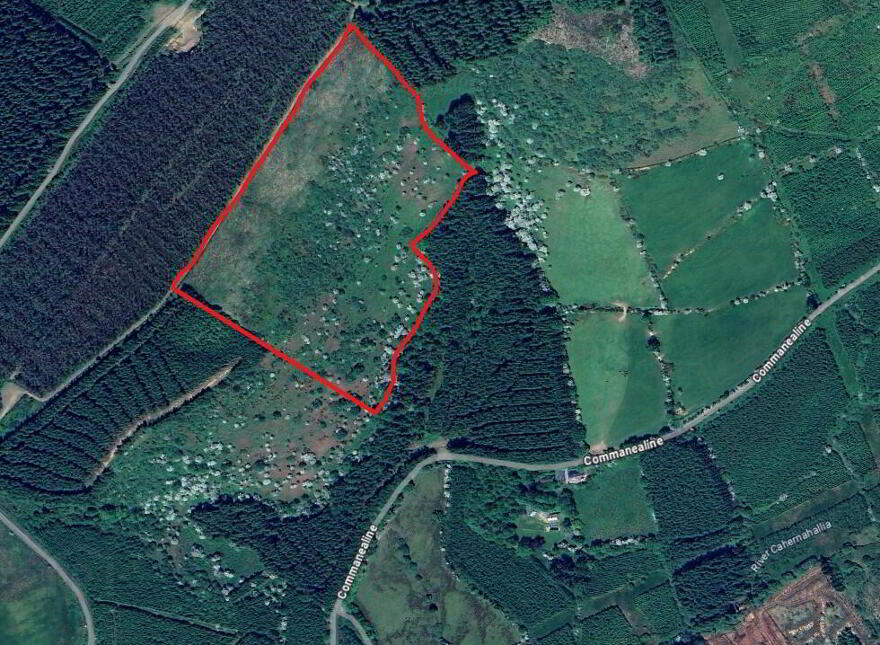 C.19.03 Acres, Commonline, Cappawhite, Doon photo