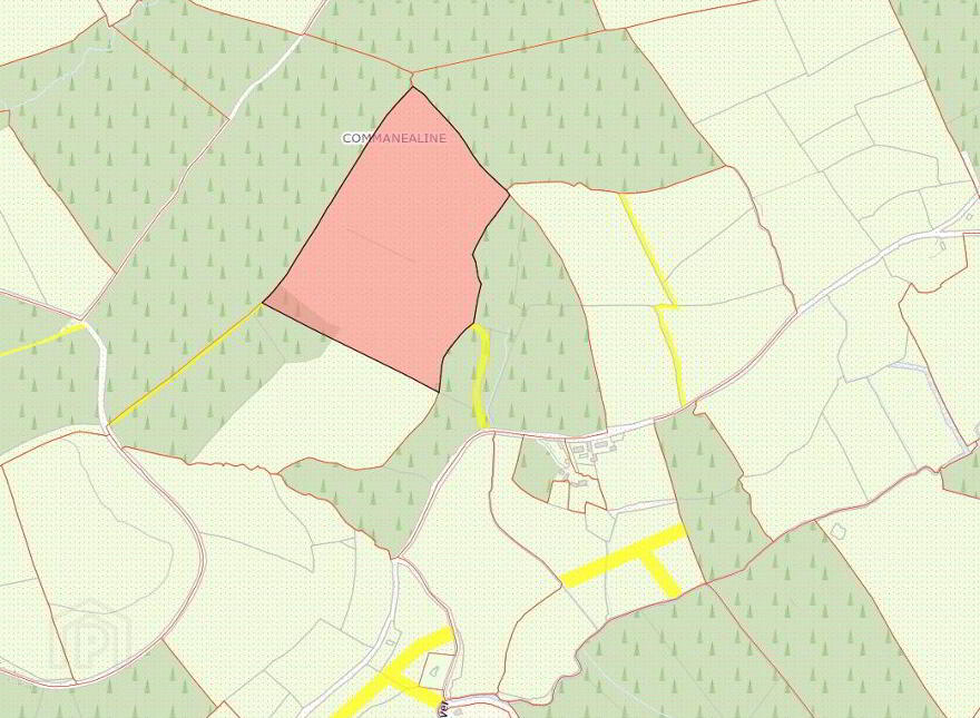 C.19.03 Acres, Commonline, Cappawhite, Doon