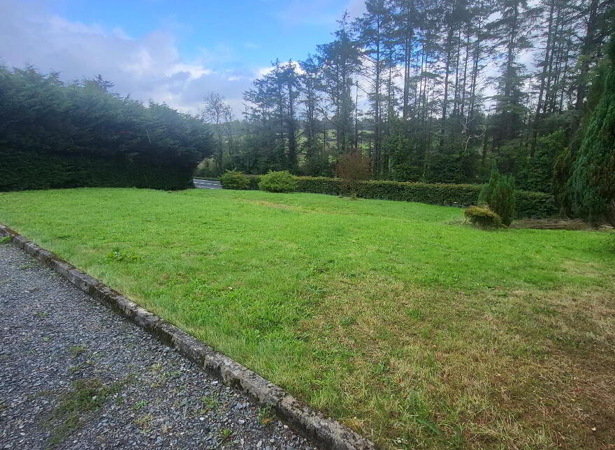 Mullaghnameely, Fenagh, Ballinamore, N41YK80
