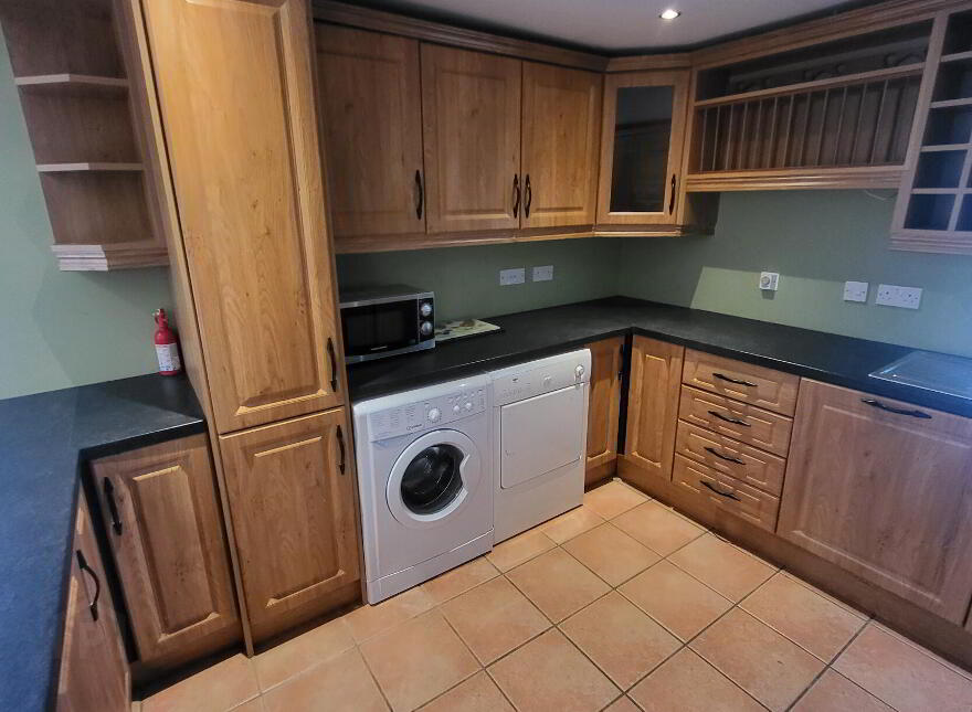 Mullaghnameely, Fenagh, Ballinamore, N41YK80