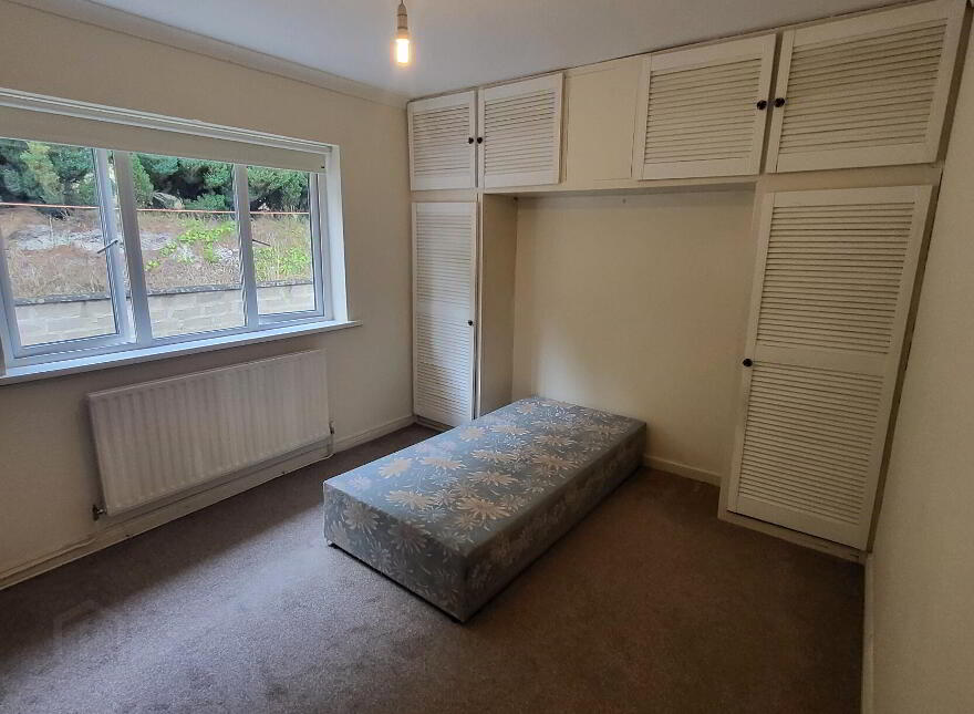 Mullaghnameely, Fenagh, Ballinamore, N41YK80