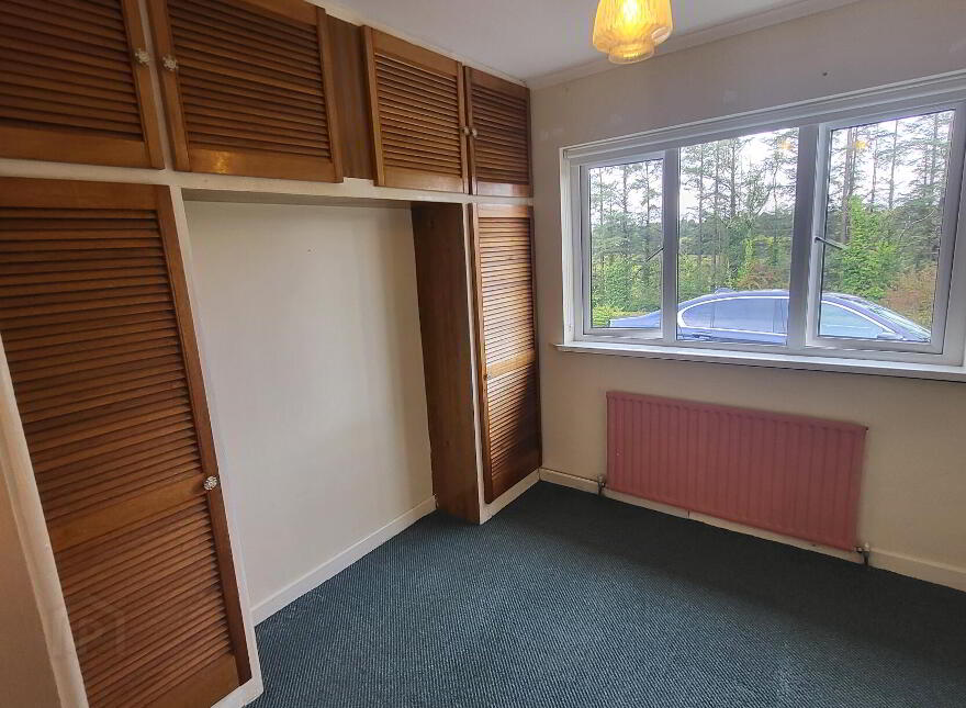 Mullaghnameely, Fenagh, Ballinamore, N41YK80