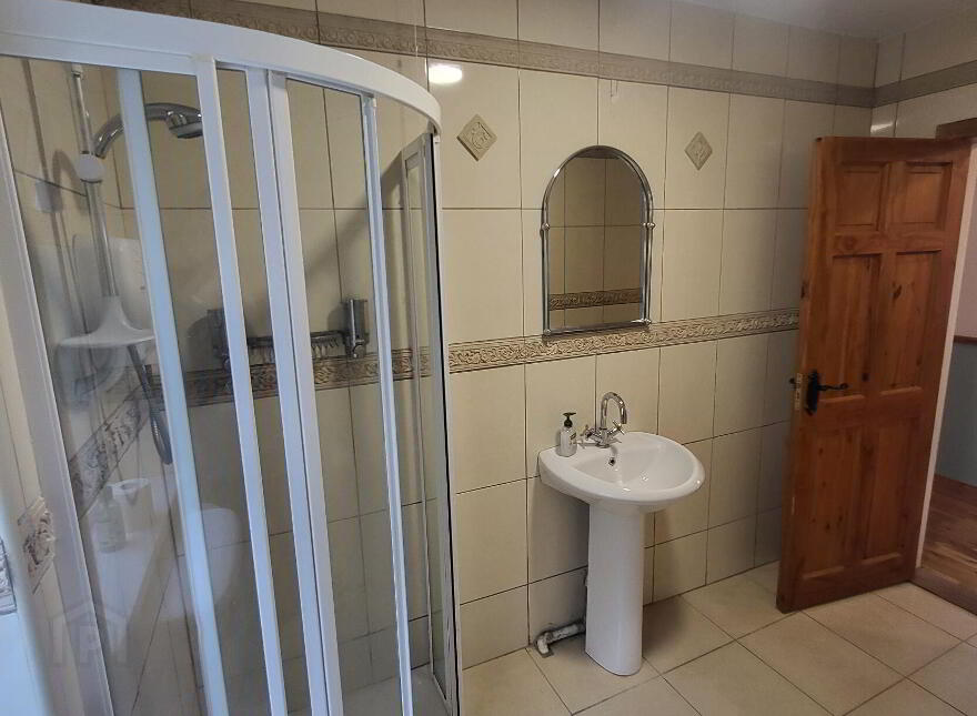 Mullaghnameely, Fenagh, Ballinamore, N41YK80