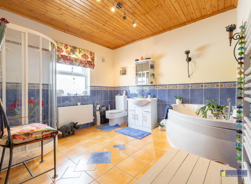 232 Drummeer Road, Maguiresbridge, BT94 1FX