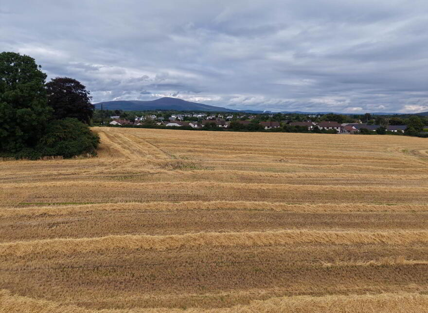 Development Lands At, Davis Road, Clonmel