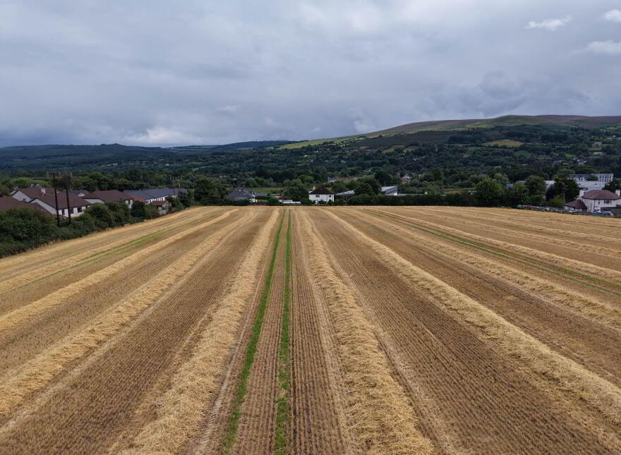 Development Lands At, Davis Road, Clonmel