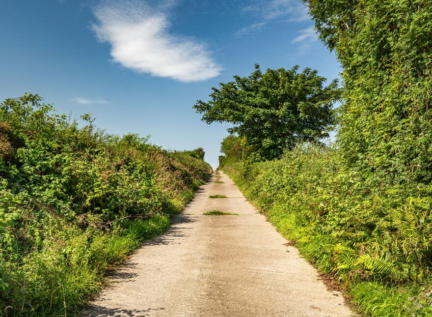 Lot 1 Land At Craigback Road North, Eglinton, BT47 3BB