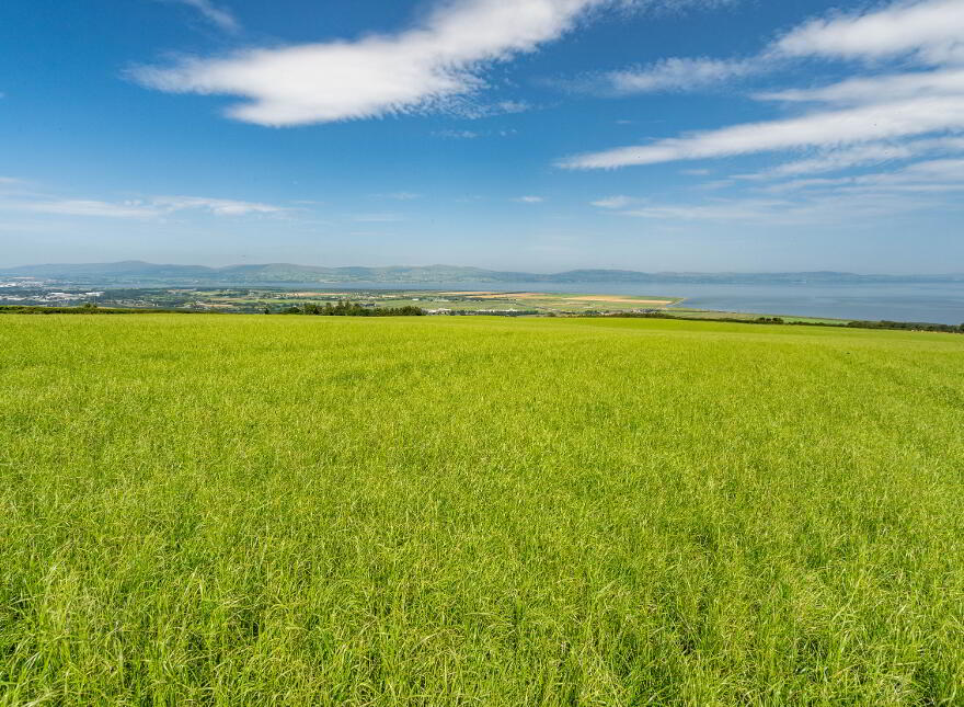 Lot 2 Land At Craigback Road South, Eglinton, BT47 3BB