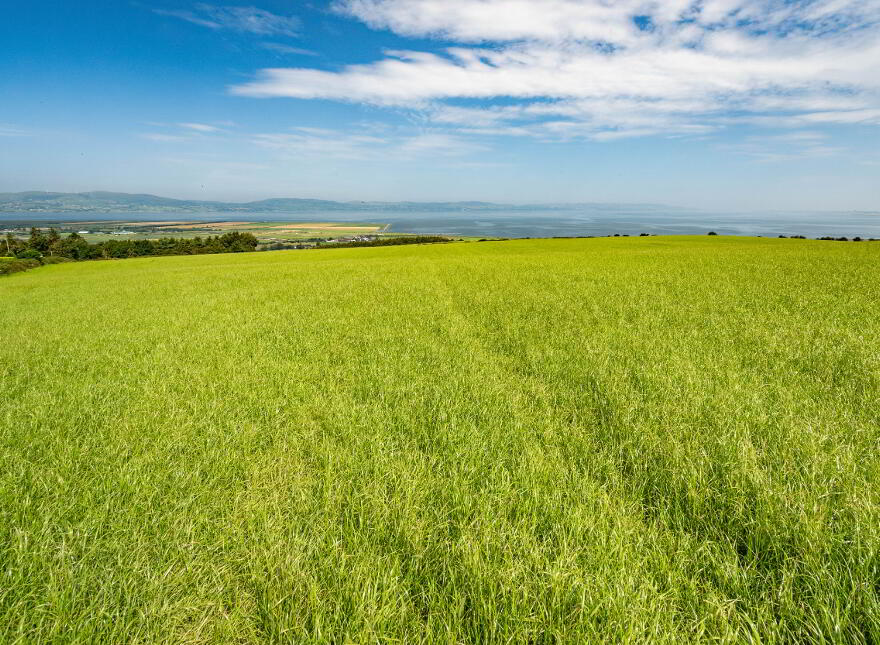 Lot 2 Land At Craigback Road South, Eglinton, BT47 3BB