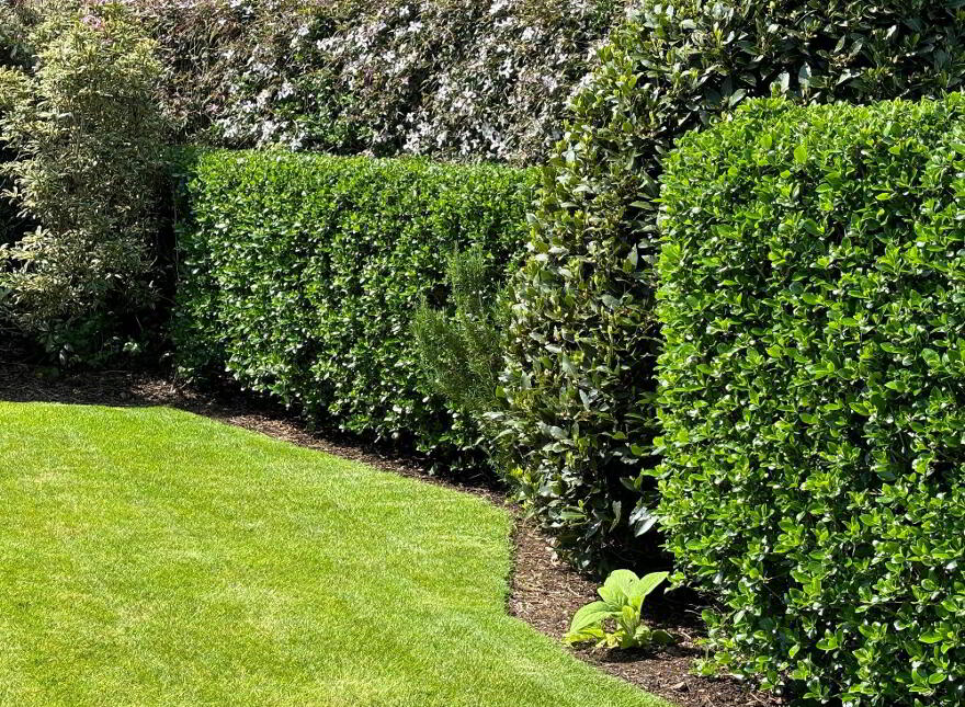 Kilbarchan House, 140 Moycraig Road, Ballymoney, BT53 8QZ