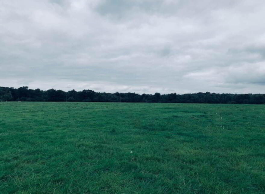 22.23 Ha Mea Or 54.93 Acres ( 60 Acres Per Folio), Millbrook, Ballinacl...Nenagh