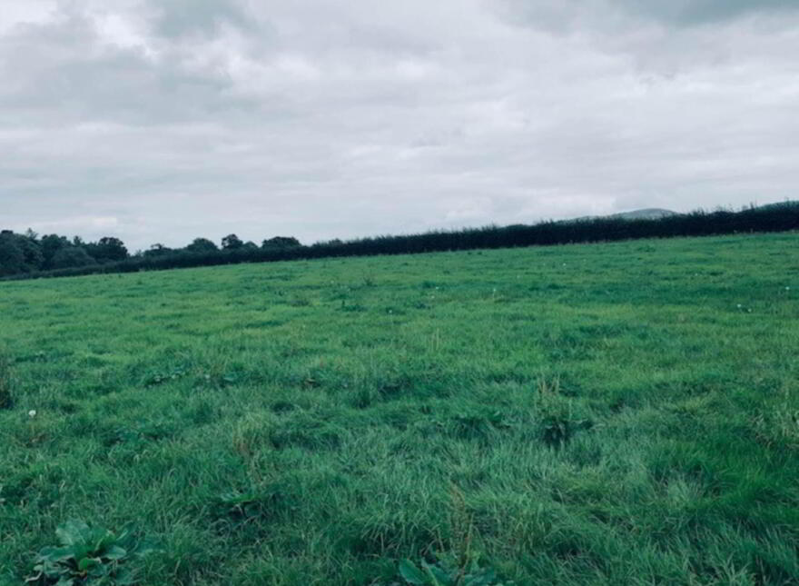 22.23 Ha Mea Or 54.93 Acres ( 60 Acres Per Folio), Millbrook, Ballinacl...Nenagh