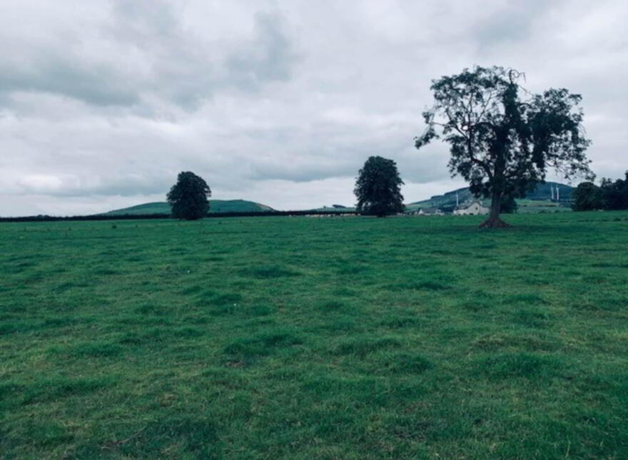 22.23 Ha Mea Or 54.93 Acres ( 60 Acres Per Folio), Millbrook, Ballinacl...Nenagh