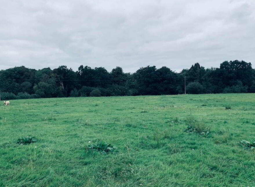 22.23 Ha Mea Or 54.93 Acres ( 60 Acres Per Folio), Millbrook, Ballinacl...Nenagh