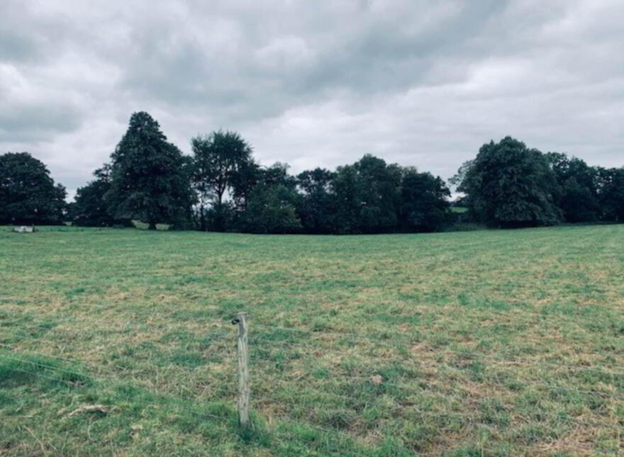 22.23 Ha Mea Or 54.93 Acres ( 60 Acres Per Folio), Millbrook, Ballinacl...Nenagh