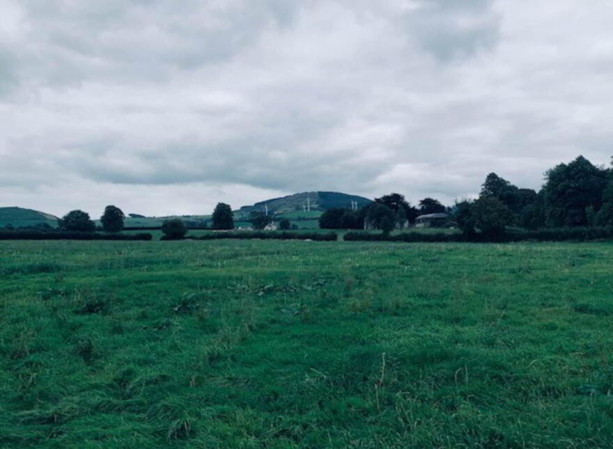 22.23 Ha Mea Or 54.93 Acres ( 60 Acres Per Folio), Millbrook, Ballinacl...Nenagh