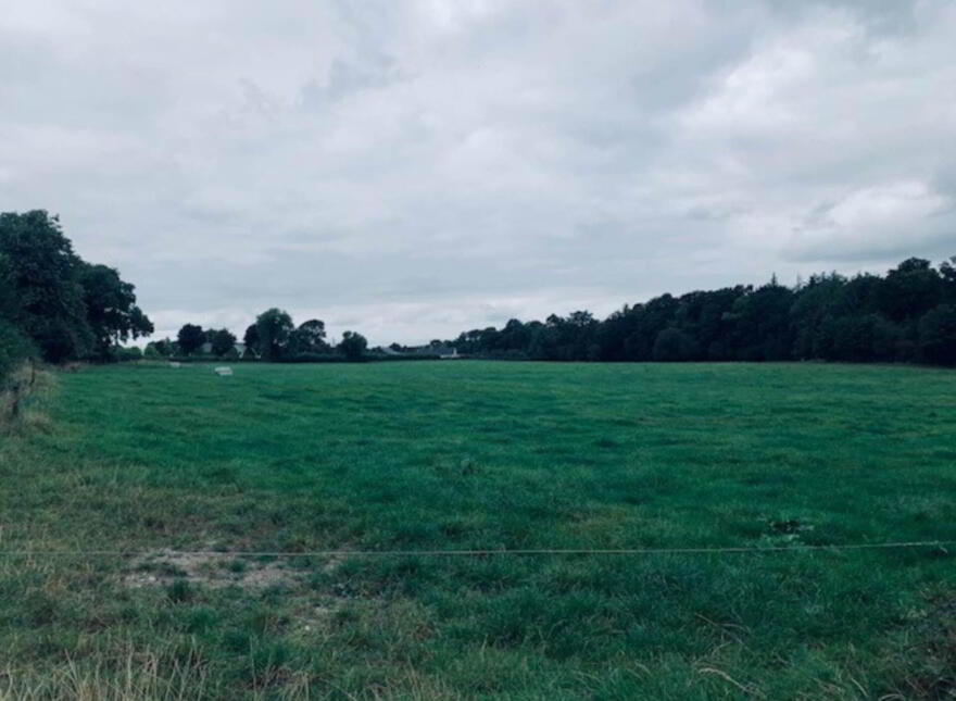 22.23 Ha Mea Or 54.93 Acres ( 60 Acres Per Folio), Millbrook, Ballinacl...Nenagh