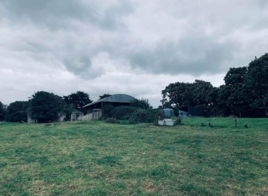 22.23 Ha Mea Or 54.93 Acres ( 60 Acres Per Folio), Millbrook, Ballinacl...Nenagh