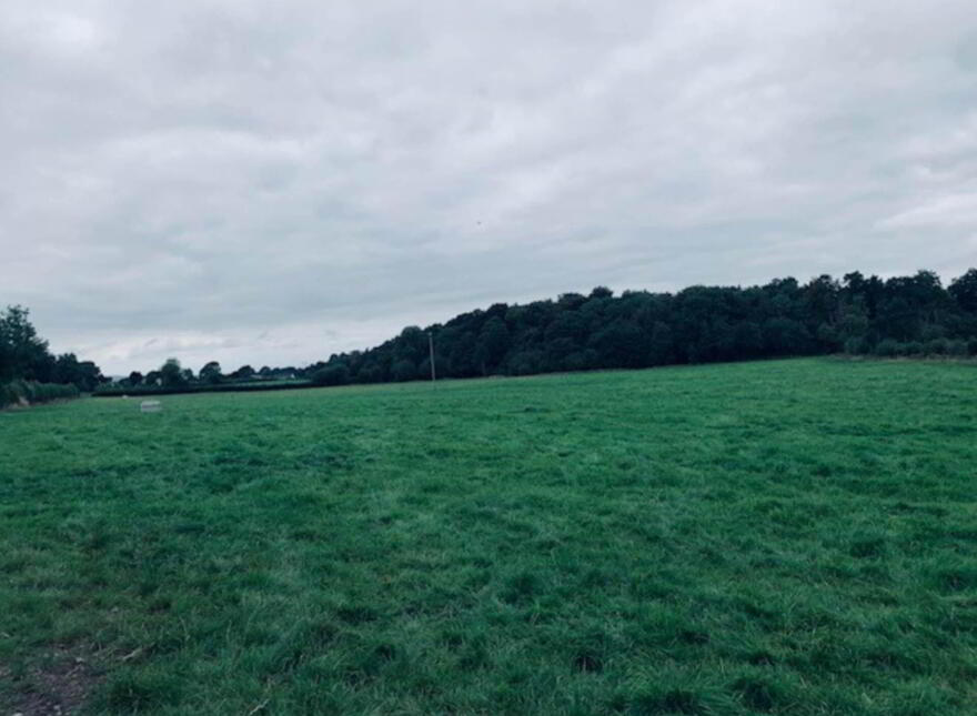 22.23 Ha Mea Or 54.93 Acres ( 60 Acres Per Folio), Millbrook, Ballinacl...Nenagh